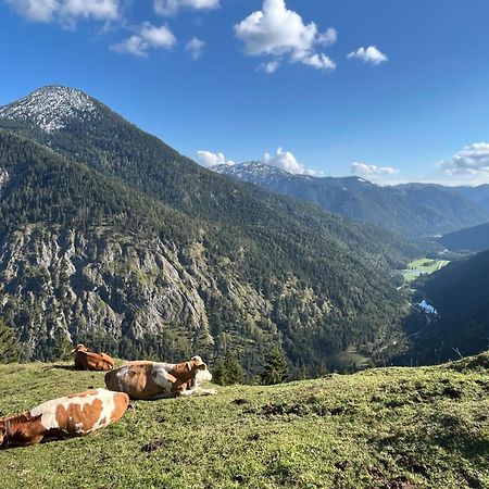 Landhaus Renata - Wendelstein Bayrischzell Luaran gambar